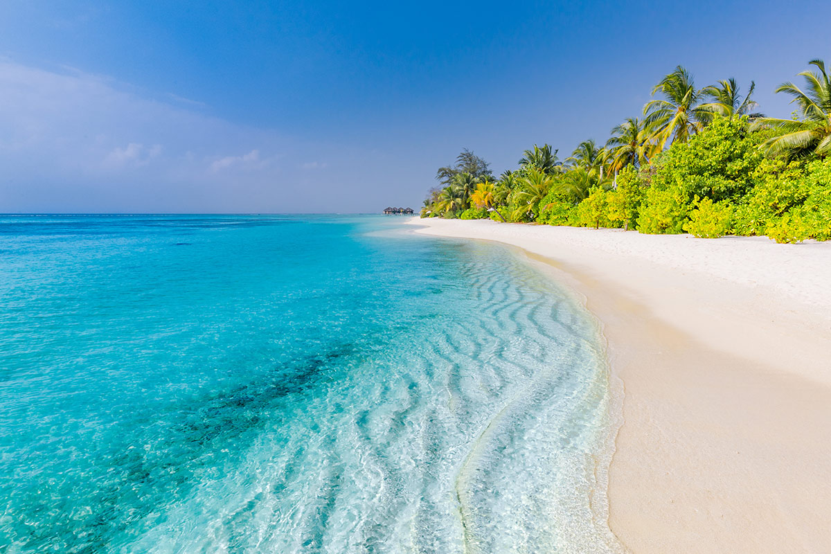 Insel